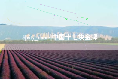 开封中国十七块金牌