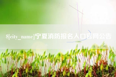 开封宁夏消防报名入口官网公告