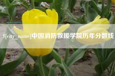 开封中国消防救援学院历年分数线