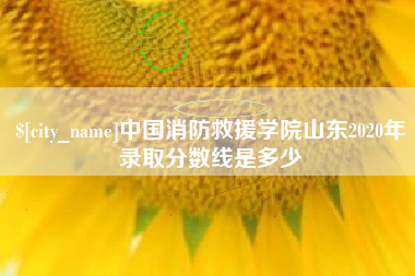 开封中国消防救援学院山东2020年录取分数线是多少