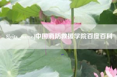 开封中国消防救援学院百度百科