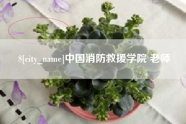 开封中国消防救援学院 老师