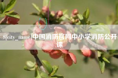 开封中国消防官网中小学消防公开课