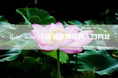 开封中国消防网官网入口网址