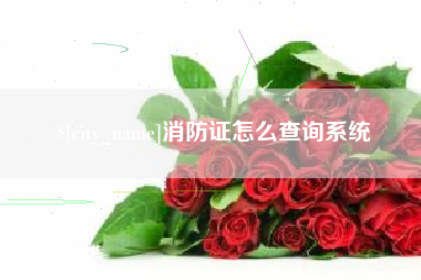 开封消防证怎么查询系统