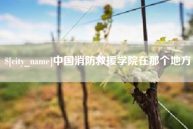 开封中国消防救援学院在那个地方