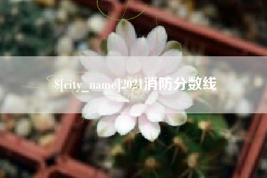 开封2021消防分数线