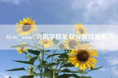 开封消防学校录取分数线是多少