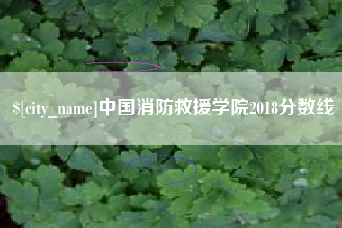 开封中国消防救援学院2018分数线