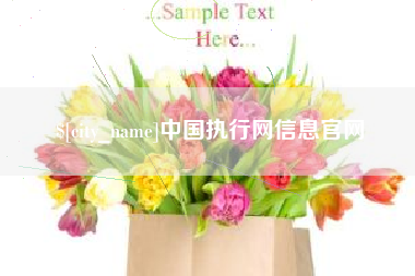 开封中国执行网信息官网