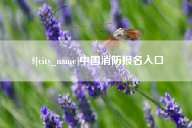 开封中国消防报名入口