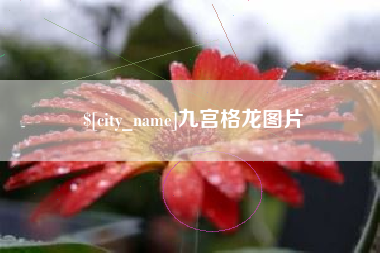 开封九宫格龙图片