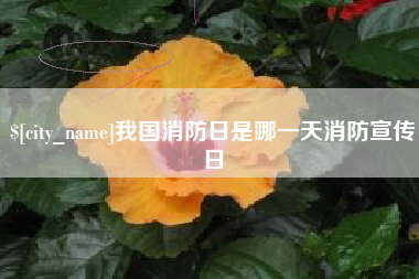 开封我国消防日是哪一天消防宣传日