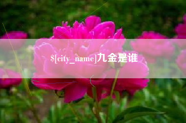 开封九金是谁