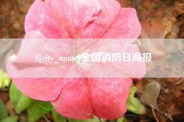 开封全国消防日海报