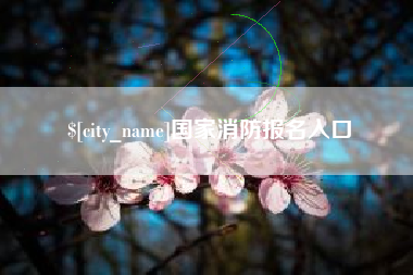 开封国家消防报名入口