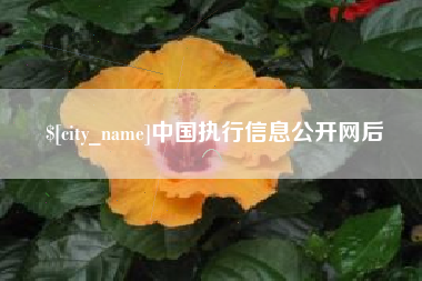 开封中国执行信息公开网后