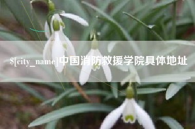 开封中国消防救援学院具体地址