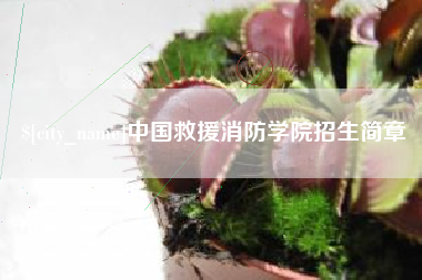 开封中国救援消防学院招生简章