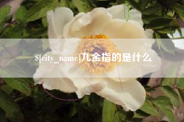 开封九金指的是什么
