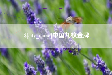 开封中国九枚金牌