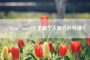 开封王子豪个人简介乒乓球