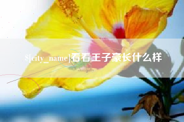 开封看看王子豪长什么样