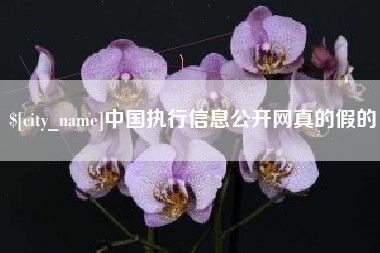 开封中国执行信息公开网真的假的