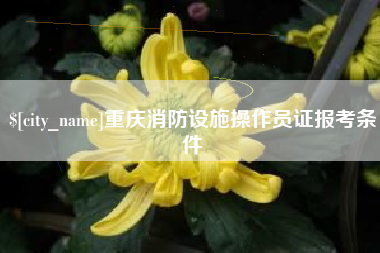 开封重庆消防设施操作员证报考条件
