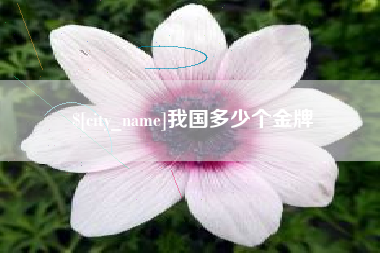开封我国多少个金牌