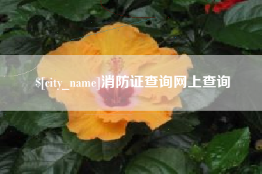 开封消防证查询网上查询