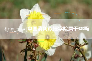 开封中国消防救援学院属于985吗