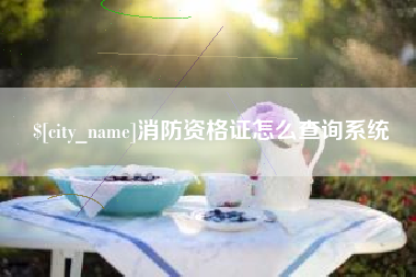 开封消防资格证怎么查询系统