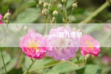 开封第九金是