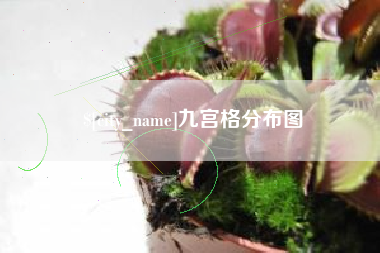 开封九宫格分布图