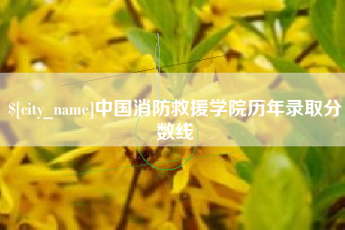 开封中国消防救援学院历年录取分数线