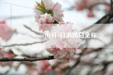 开封11月9日消防日全称