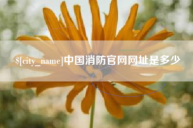 开封中国消防官网网址是多少