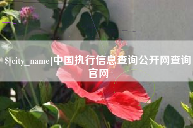 开封中国执行信息查询公开网查询官网