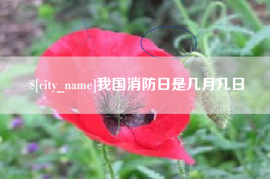 开封我国消防日是几月几日