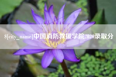开封中国消防救援学院2020录取分