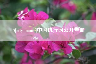 开封中国执行网公开查询