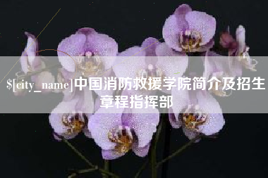开封中国消防救援学院简介及招生章程指挥部