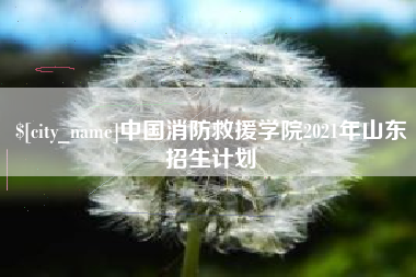 开封中国消防救援学院2021年山东招生计划
