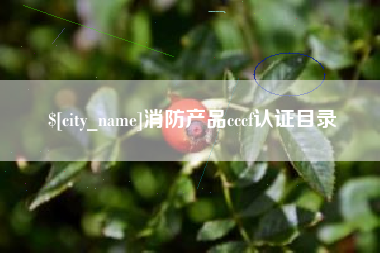 开封消防产品cccf认证目录