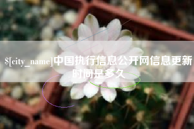 开封中国执行信息公开网信息更新时间是多久