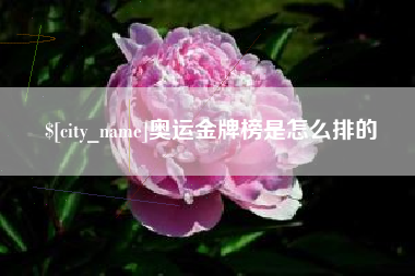 开封奥运金牌榜是怎么排的