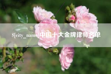 开封中国十大金牌律师名单