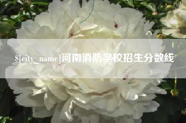 开封河南消防学校招生分数线