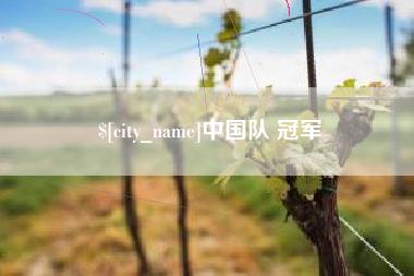 开封中国队 冠军
